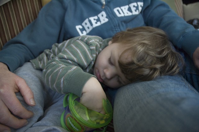 Abe napping on Sarah's lap.